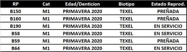 Lote LOTE 2