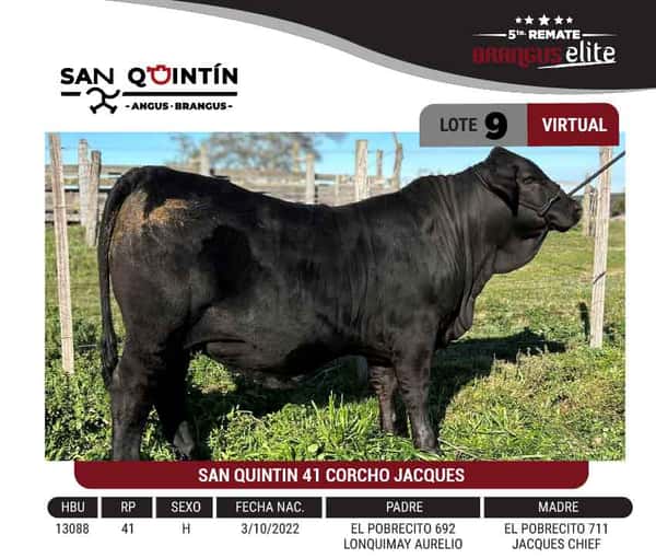 Lote "CABAÑA SAN QUINTÍN" - SAN QUINTIN 41 CORCHO JACQUES