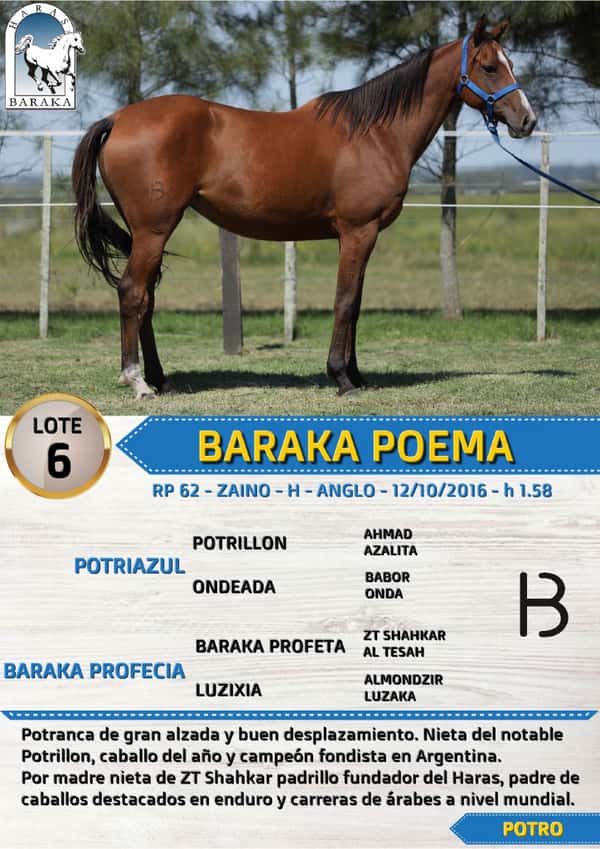 Lote BARAKA POEMA