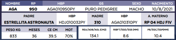 Lote LOTE 69