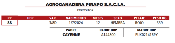 Lote LOTE 21