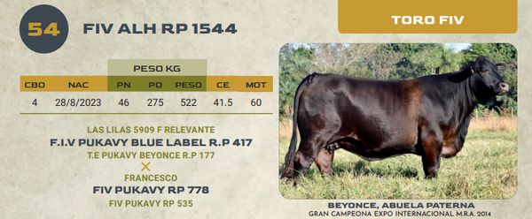 Lote LOTE 54