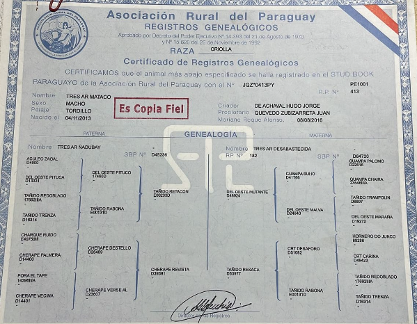 Lote CRIOLLOS - DONACION DE SERVICIOS  A BENEFICIO DE LA A.C.C.C.P EXPO INTERNACIONAL 2022  - LOTE 105
