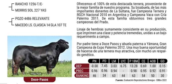 Lote "CABAÑA MACEDO" - MACEDO LS 357 DOCE PASOS JACQUES 145