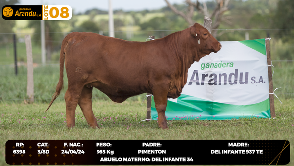 Lote LOTE 8