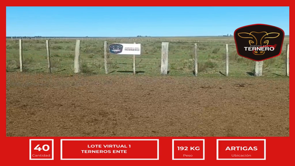 Lote Lote Virtual 1