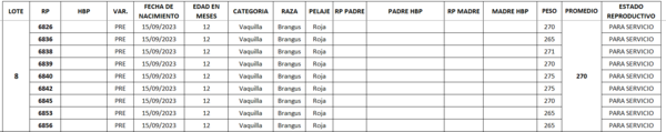 Lote LOTE 8