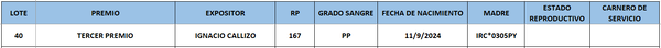 Lote LOTE 40