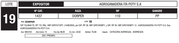 Lote LOTE 19