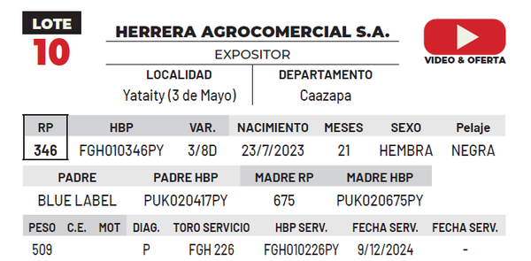 Lote LOTE 10