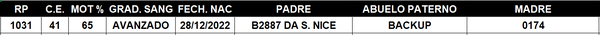 Lote LOTE 7
