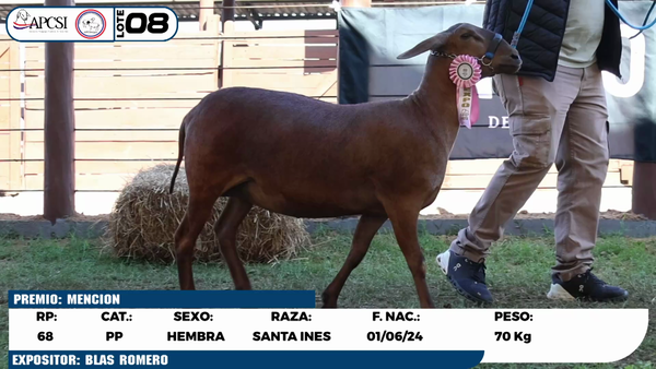 Lote LOTE 8