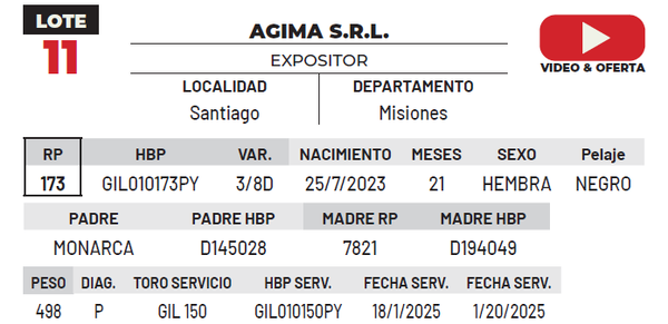 Lote LOTE 11