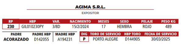 Lote LOTE 39