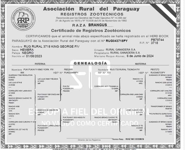 Lote LOTE 13
