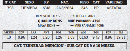 Lote LOTE 1 - BOZAL