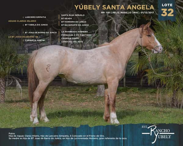 Lote Yubely Santa Angela
