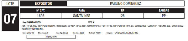 Lote LOTE 7