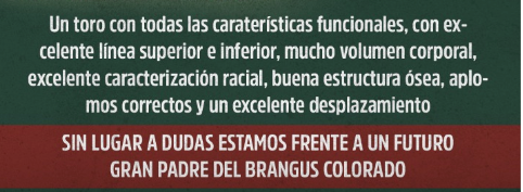 Lote LOTE DESTAQUE