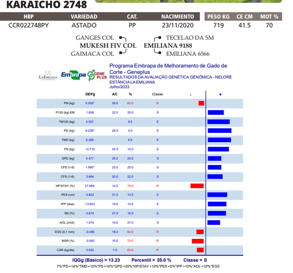 Lote LOTE 45