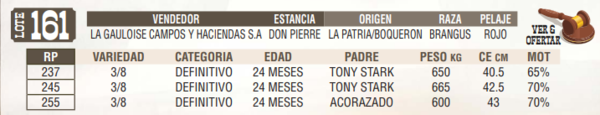 Lote LOTE 161 - EN VIVO