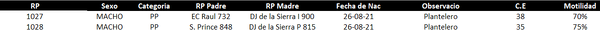 Lote LOTE 42