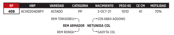 Lote LOTE 53