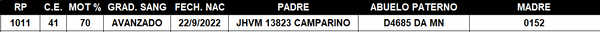 Lote LOTE 44