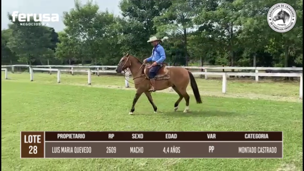 Lote LOTE 28 BOZAL