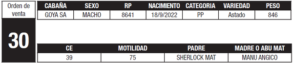 Lote LOTE 30