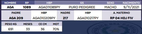 Lote LOTE 6