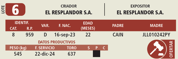 Lote LOTE 6