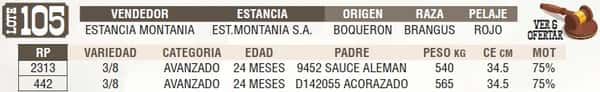 Lote LOTE 105 - EN VIVO