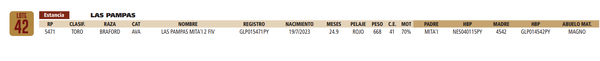 Lote LOTE 42