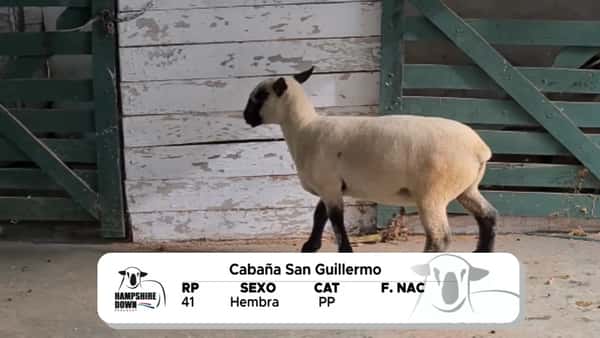 Lote LOTE 2 A CAMPO - RP 41