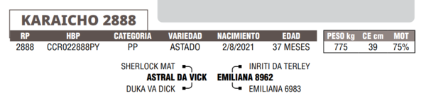 Lote LOTE 2