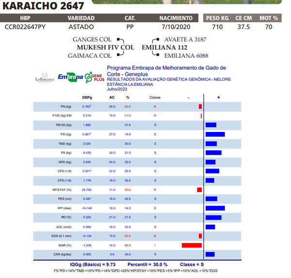 Lote LOTE 44