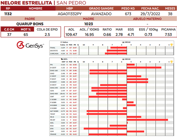 Lote LOTE 21