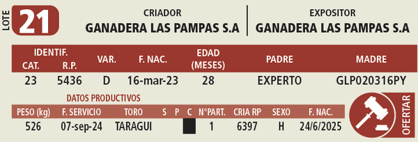 Lote LOTE 21