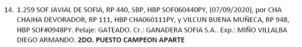 Lote LOTE 14