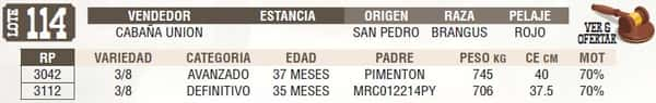 Lote LOTE 114