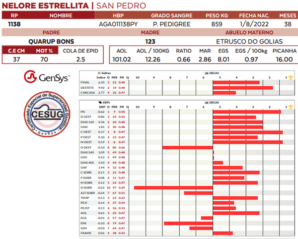 Lote LOTE 3