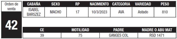 Lote LOTE 42