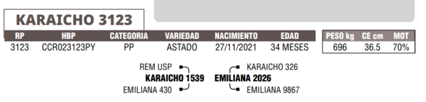 Lote LOTE 42