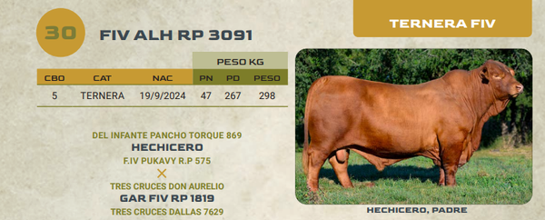 Lote LOTE 30
