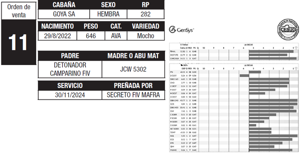 Lote LOTE 11