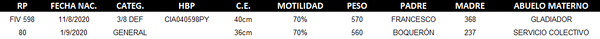 Lote LOTE 58 - DUO