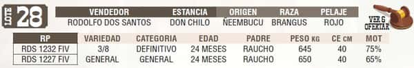 Lote LOTE 28 - EN VIVO