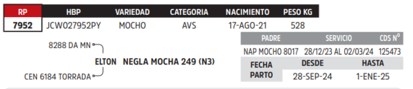 Lote LOTE 33