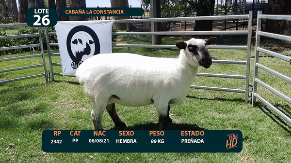 Lote LOTE 26 - CABAÑA ARGENTINA